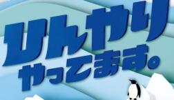 グローバルワークの夏