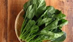 眼にいい食べ物