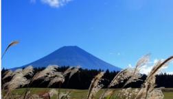 山を見ると、ほんとうに目が休まる？？