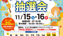 クレジットカード決済限定 11月15日(土)・16日(日)!!クレジットカード抽選会開催!!