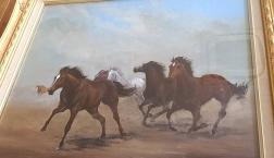 来年の干支　豊富な馬たち　「うまくいく　2026年」丙午の年　強く勢いとエネルギーに満ちて、活動的になる新しい年を迎えませんか？