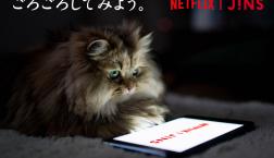ごろごろしてみよう。JINS HOME® × Netflix