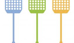 ハエってこちらの眼が見えている？？(≧◇≦)