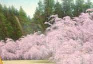 原画のため　著作権あります。写真撮影禁止。　新築・リフォーム・お祝い！有名絵画で美しいあなたのお城は美術館！