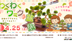 【4月25日開催☆わくわくワーク】盆栽をつくろう♪