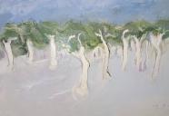 日本の桜　油絵　割引きセール！　空間でお花見会！はいかがですか？