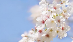 紫外線対策もそろそろと～ヽ(^o^)丿