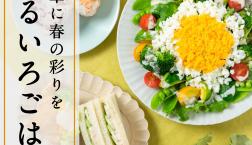 ＼食卓に春の彩りを✨『はるいろごはん』／久世福商店