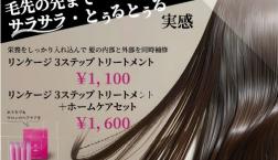 ３ステップトリートメント