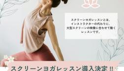 スクリーンレッスン導入！！