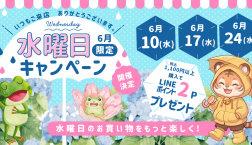 【６月限定】水曜日キャンペーン開催！