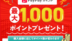 PayPayポイント　プレゼント✨