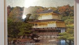 京都　祇園祭賑やかに！絵画でゴー！　静かな京都も素敵です。
