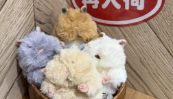 はむにぎり再入荷!!