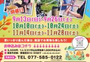 秋の1dayキャンプ！