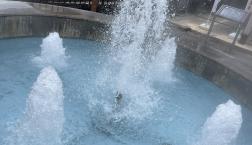 命の水 水の絵画はたくさんあるよ!