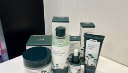 【オリーブヤング話題商品】ROUND LAB 松の木シリーズ♡